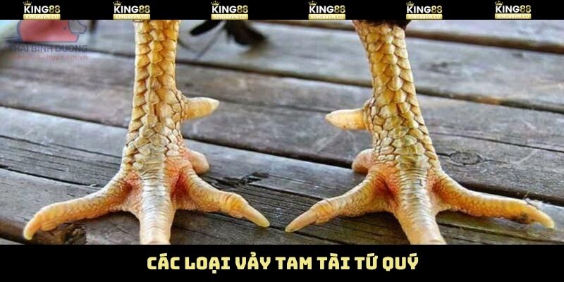 Những dạng vảy tam tài, tứ quý phổ biến nên nắm 