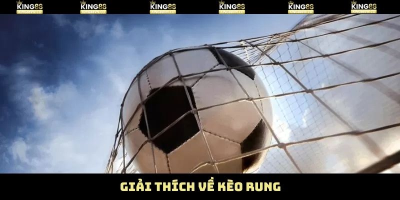 Tổng quan chung về hình thức cá độ tại nhà cái