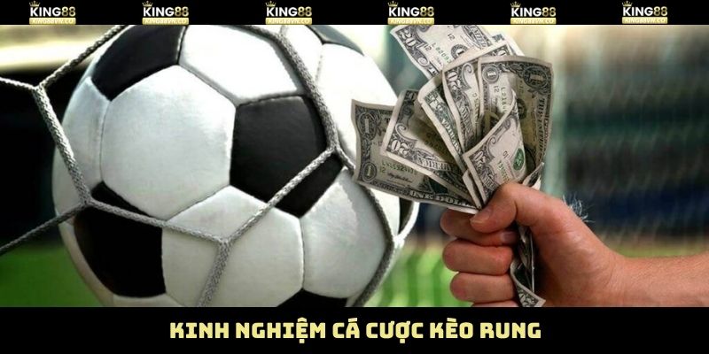 Bật mí bí quyết thắng đậm trong kèo rung