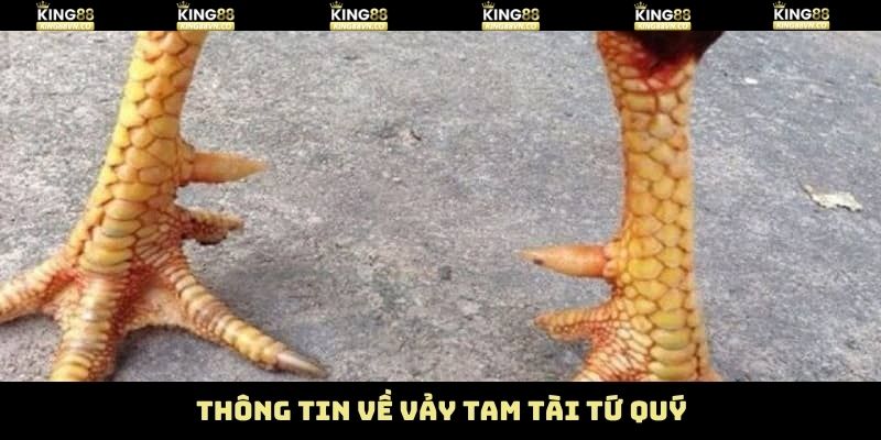 Nội dung sơ lược về loại vảy tam tài, tứ quý 