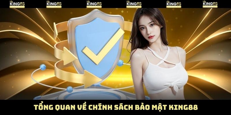 Tổng quan chi tiết về chính sách bảo mật King88